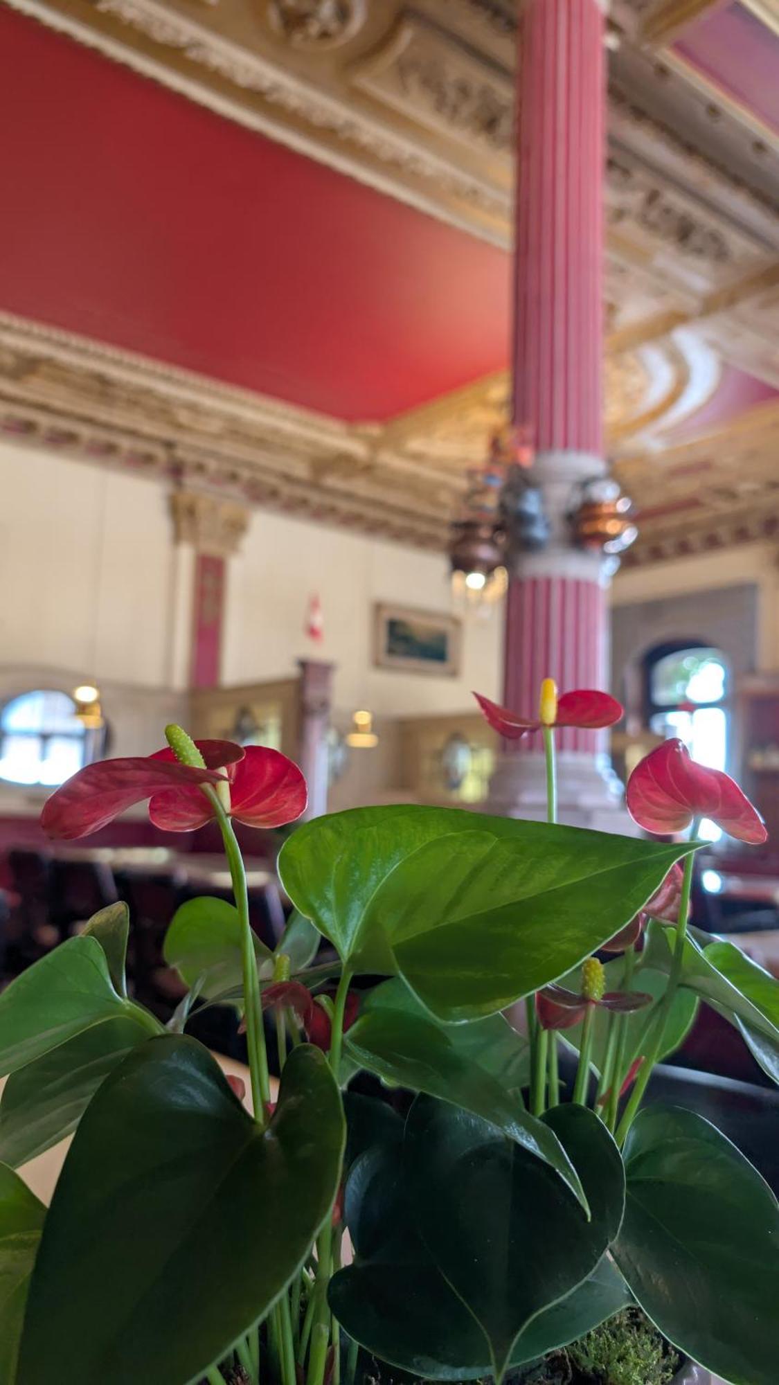 Hotel Harder Minerva Interlaken Eksteriør bilde